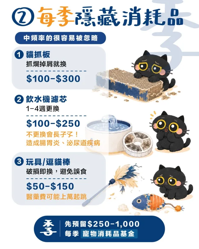 貓咪每季隱藏消耗品：貓抓板、飲水機濾芯與玩具