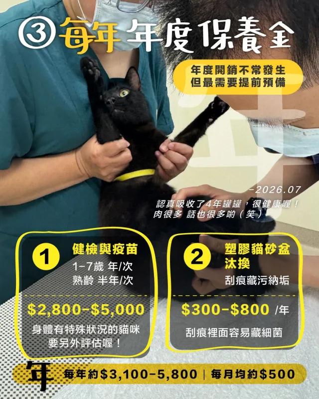 貓咪每年保養金：健康檢查、疫苗與塑膠貓砂盆汰換